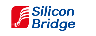 Silicon Bridge